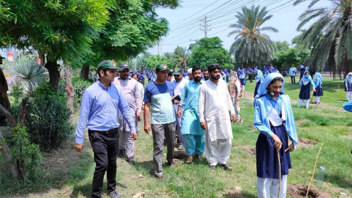 world record of planting